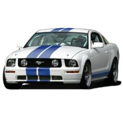 FRPP Competition Mustangs