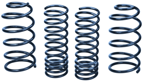 2006-2007 FOCUS LOWERING SPRINGS