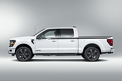 F-150 REGIONAL PACKAGE - TENNESSEE WITH 22" WHEEL