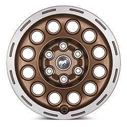 2021-2025 BRONCO 17" X 8.0" SINISTER BRONZE SINGLE WHEEL
