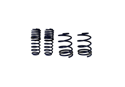 2005-2014 MUSTANG GT STREET LOWERING SPRINGS