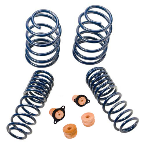 2012-2013 BOSS 302 LOWERING SPRINGS