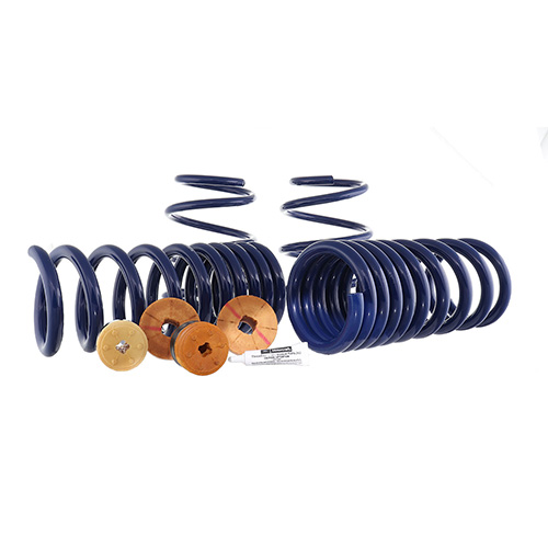 2015-2023 MUSTANG TRACK LOWERING SPRING KIT