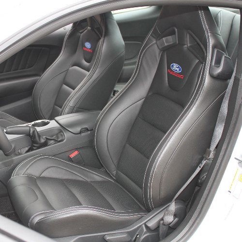 2015-2016 MUSTANG FORD RACING LOGO RECARO SEAT (SET)
