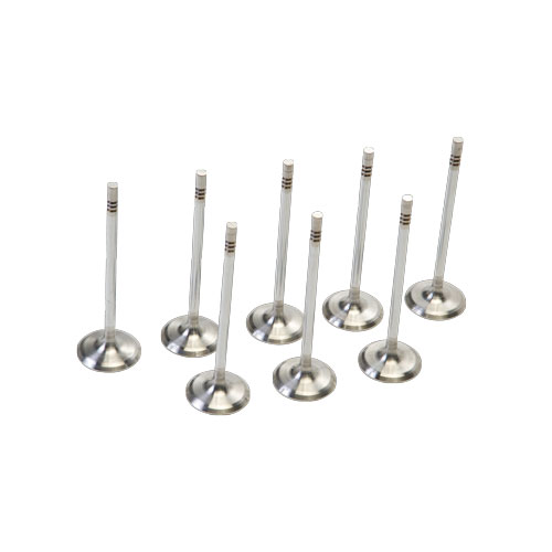 BOSS 302R INTAKE VALVES