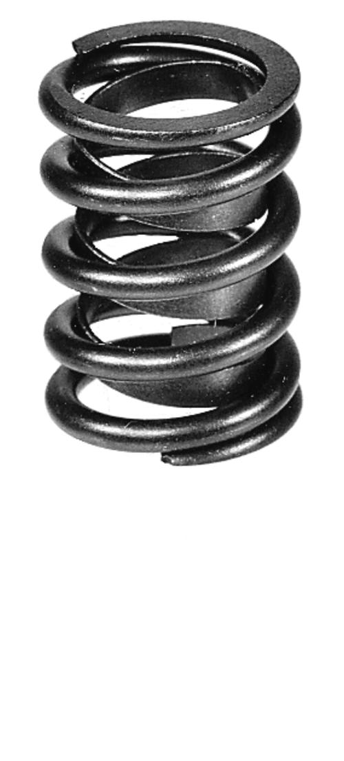 VALVE SPRINGS