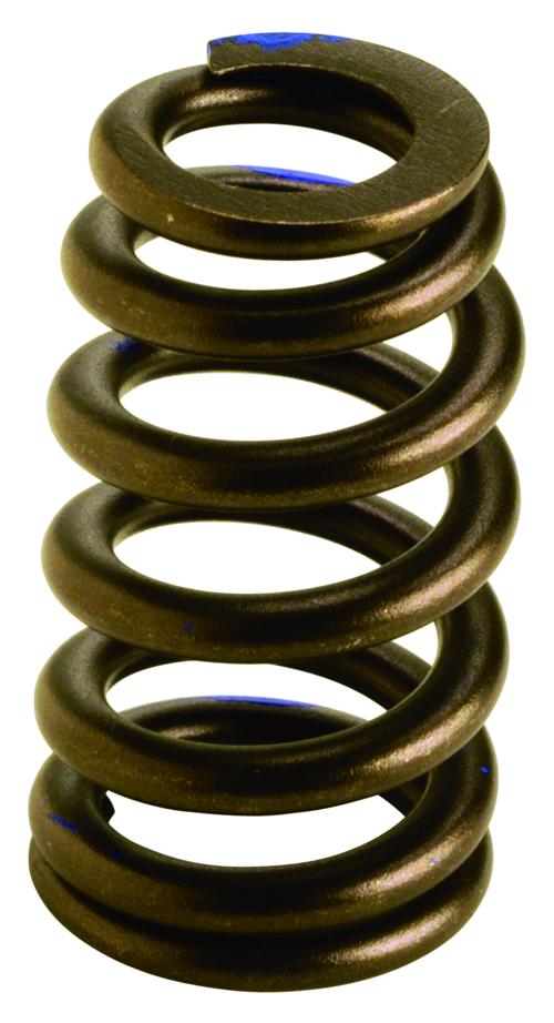 VALVE SPRINGS