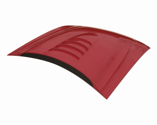 Ford racing cobra r hood #6