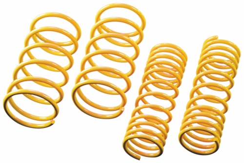 FOCUS LOWERING SPRING KIT